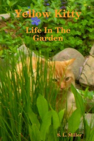 bigCover of the book Yellow Kitty: Life In the Garden by 