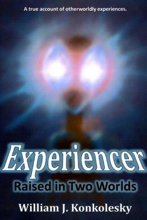 bigCover of the book Experiencer: Raised In Two Worlds: A True Account of Otherworldly Experiences by 