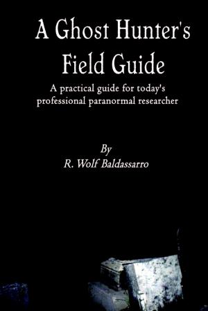 bigCover of the book A Ghost Hunter's Field Guide: A Practical Guide for today's Professional paranormal Researcher by 