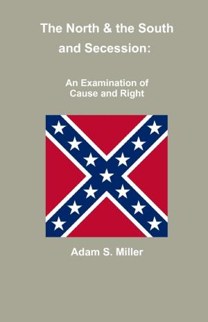 Cover of the book The North & the South and Secession: An Examination of Cause and Right by Patricia Cambridge