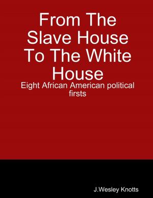 Cover of the book From the Slave House to the White House: Eight African American Political firsts by Christina Engela
