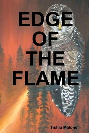 Cover of the book Edge of the Flame by Robert Dave Johnston