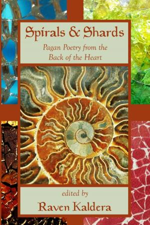 Cover of the book Spirals & Shards: Pagan Poetry from the Back of the Heart by Tina Long