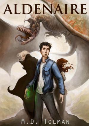 Cover of the book Aldenaire by Suzie Mann