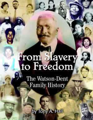 Cover of the book From Slavery to Freedom: The Watson-Dent Family History by Burr Cook