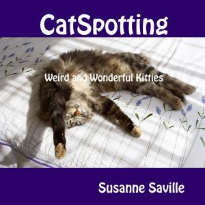 Cover of the book Catspotting: Weird and Wonderful Kitties by Roberto Miguel Rodriguez