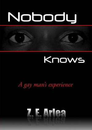 Cover of the book Nobody Knows : A Gay Man's Experience by Doreen Milstead