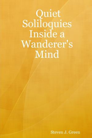 Cover of the book Quiet Soliloquies Inside a Wanderer's Mind by John Custer