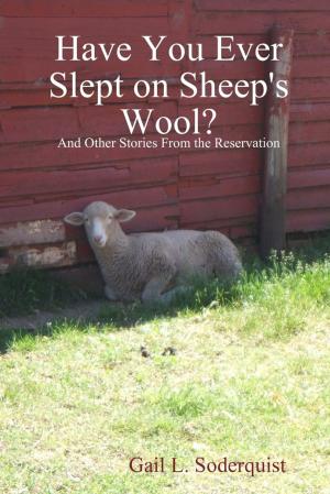 Cover of the book Have You Ever Slept on Sheep's Wool? : And Other Stories from the Reservation by Stephen Platt