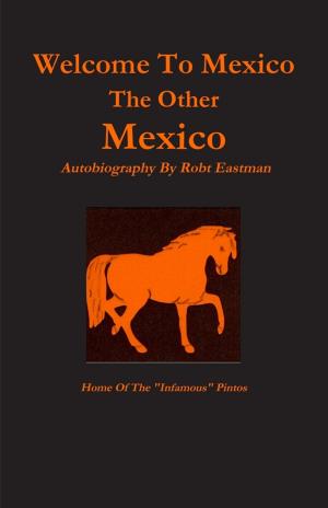 Book cover of Welcome to Mexico : The Other Mexico: Home Of The "Infamous" Pintos