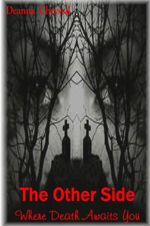 Cover of the book The Other Side: Where Death Awaits You by C. Kross