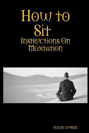 Book cover of How to Sit : Instructions on Meditation