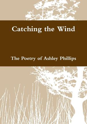 Cover of the book Catching the Wind by Indrajit Bandyopadhyay