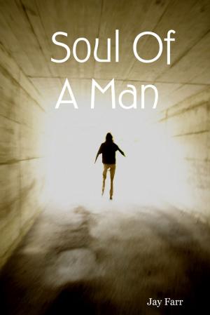 Cover of the book Soul of a Man by Karen Yarborough