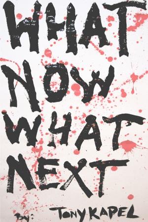 bigCover of the book What Now What Next by 