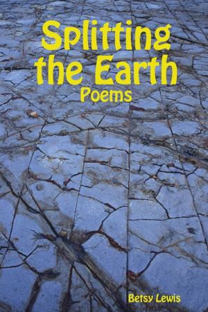 Cover of the book Splitting the Earth by Doreen Milstead
