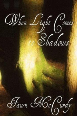 Cover of the book When Light Comes to Shadows by Lucy Hunt