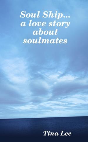 Book cover of Soul Ship...a Love Story about Soulmates