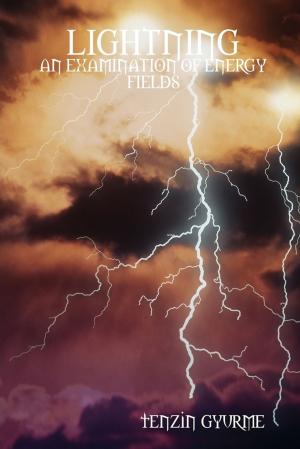 Cover of the book Lightning: An Examination of Energy Fields by Kimberly Vogel