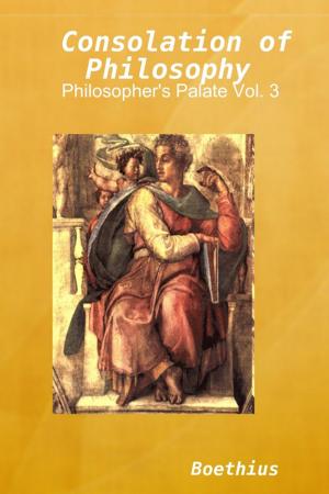 Cover of the book Consolation of Philosophy by Adiyar Zharmenov