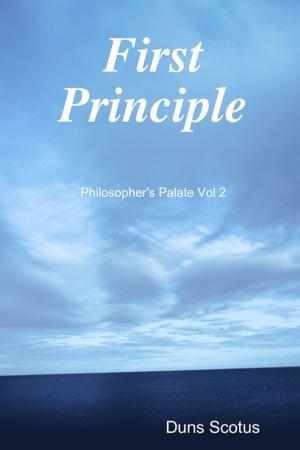 Cover of the book First Principle by Michael Barnett