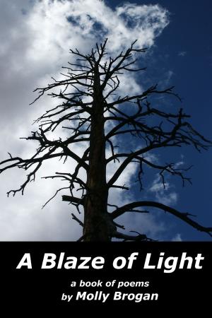 Cover of the book A Blaze of Light: A Book of Poems by Chris Mentis