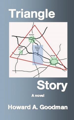 Cover of the book Triangle Story by Michael Rogers