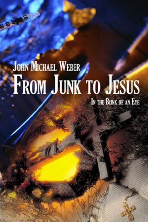 Cover of the book From Junk to Jesus: In the Blink of an Eye by Michael Faust