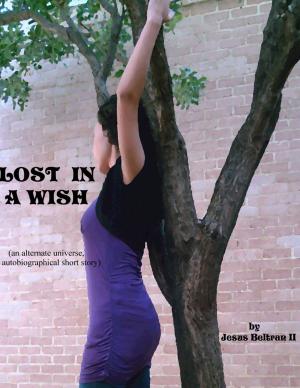 Cover of the book Lost In a Wish by Matt Stewart