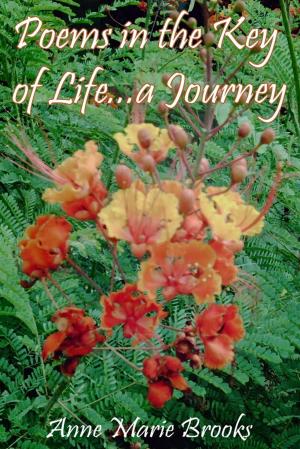 Cover of the book Poems In the Key of Life ... a Journey by Shavi Blake