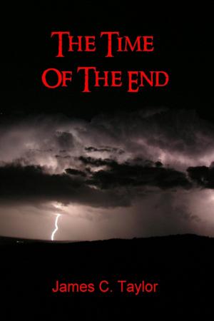Cover of the book The Time of the End by Laya Razzagh Zadeh