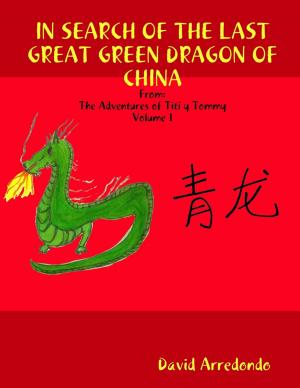 Cover of the book In Search of the Last Great Green Dragon of China: Volume 1: The Adventures of Titi y Tommy by Tr3.6.6