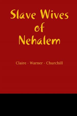Cover of the book Slave Wives of Nehalem by Michael Cimicata
