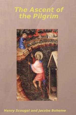 Cover of the book The Ascent of the Pilgrim by Oluwagbemiga Olowosoyo