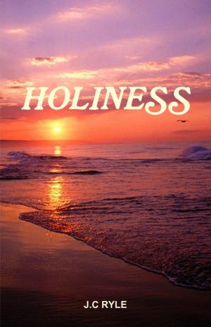 Cover of the book Holiness by Dr S.P. Bhagat