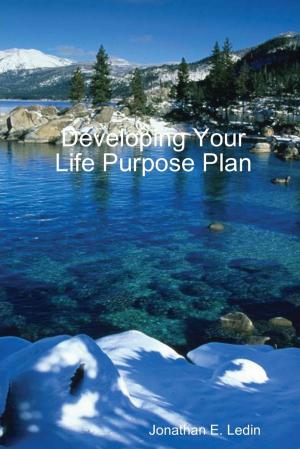 Cover of the book Developing Your Life Purpose Plan by Kym Kostos