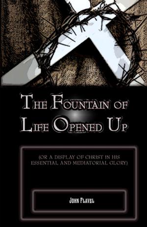 Cover of the book The Fountain of Life Opened Up: For a Display of Christ in His Essential and Medaitorial Glory by Eugene Salganik