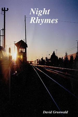 Cover of the book Night Rhymes by Rotimi Ogunjobi
