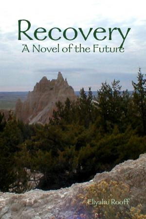 Cover of the book Recovery: A Novel of the Future by Doreen Milstead