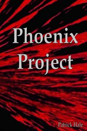 Cover of the book Phoenix Project by Tony Kelbrat