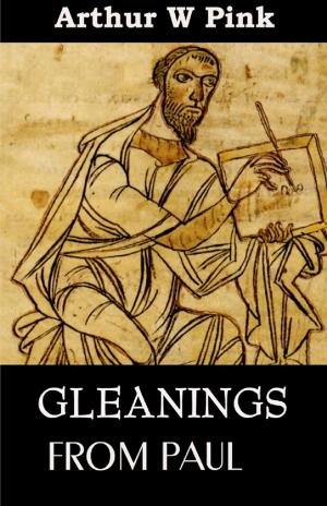 Cover of the book Gleanings from Paul by Monika Schmitt