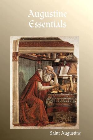 Cover of the book Augustine Essentials by Vincenzo Marigliano