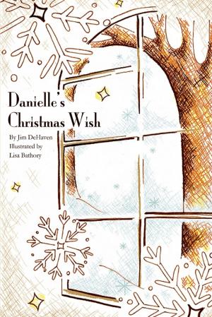 Book cover of Danielle's Christmas Wish