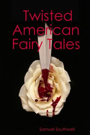 Cover of the book Twisted American Fairy Tales by Avi Sion