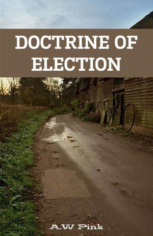 Cover of the book Doctrine Of Election by A Rhoden- Lawrence