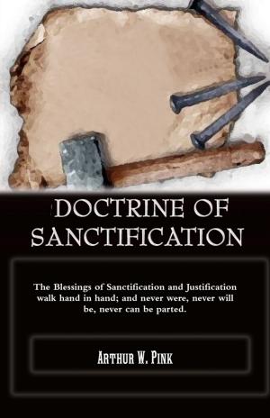 Cover of the book Doctrine Of Sanctification by Mike Hockney