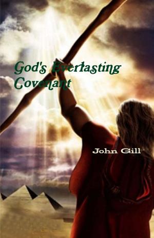 Book cover of Gods Everlasting Covenant