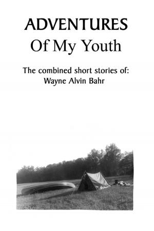 Cover of the book Adventures Of My Youth: The Combined Short Stories of by Evelyn Jean