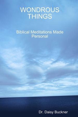 Cover of the book Wondrous Things: Biblical Meditations Made Personal by Sean Jeffery (Editor)