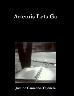 bigCover of the book Artemis Lets Go by 